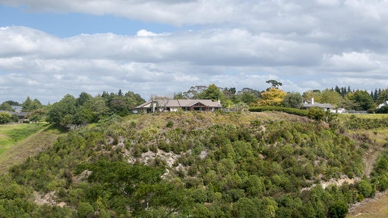 2842498_3.jpg