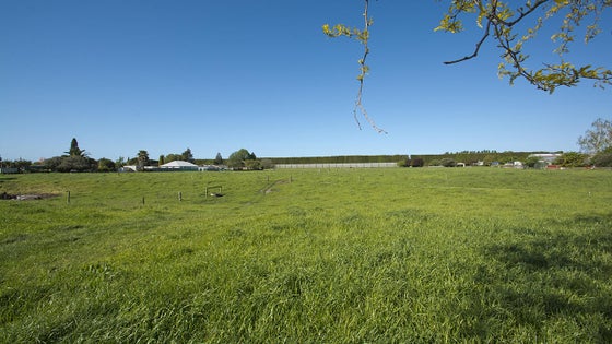 2843041_3.jpg