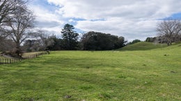 2843532_1.jpg