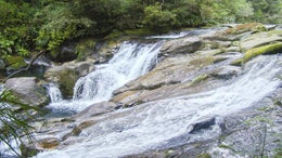 2843995_1.jpg