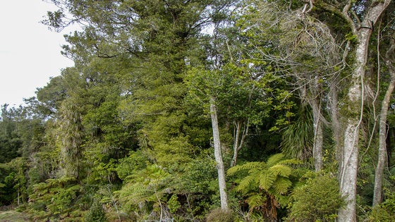 2843995_3.jpg