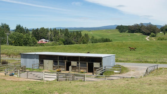 2844537_3.jpg