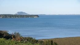 2844709_1.jpg