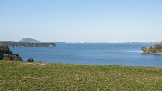 2844709_3.jpg