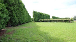 2845496_1.jpg