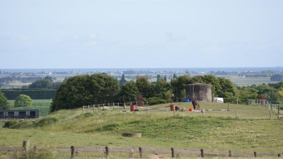 2845607_3.jpg