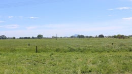 2849242_1.jpg