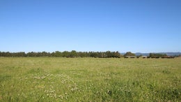 2849492_1.jpg