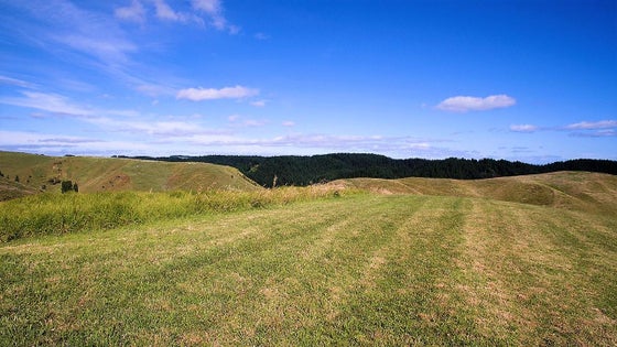 2849723_3.jpg