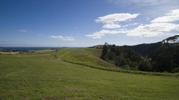 2849726_1.jpg