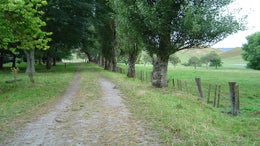 2849959_1.jpg