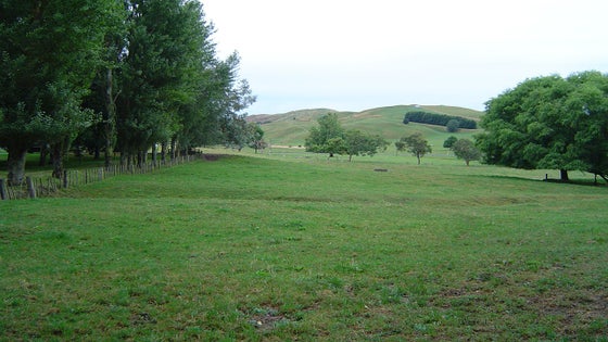 2849959_2.jpg