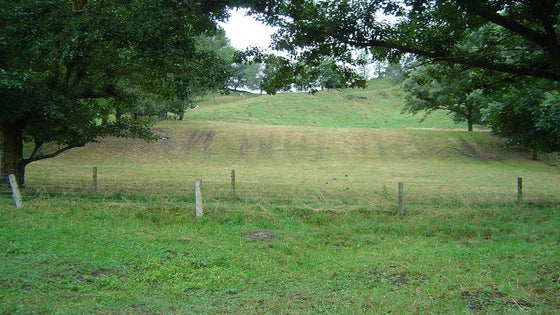 2849959_3.jpg