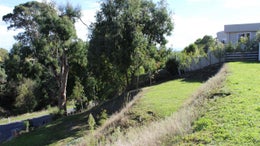 2850162_1.jpg