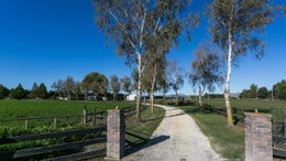 2850443_1.jpg