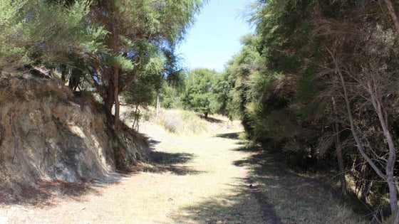 2850735_2.jpg