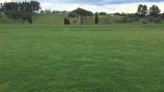 2851475_3.jpg