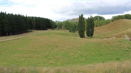 2851584_1.jpg