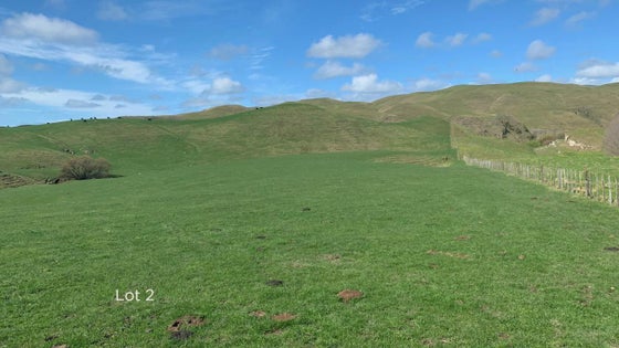 2851810_2.jpg