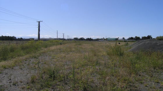 2851993_3.jpg