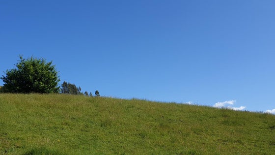 2852014_2.jpg