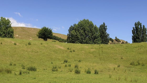 2852014_3.jpg
