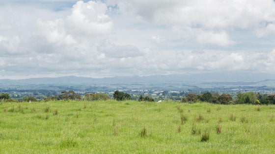 2852404_3.jpg