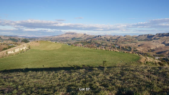 2853577_3.jpg