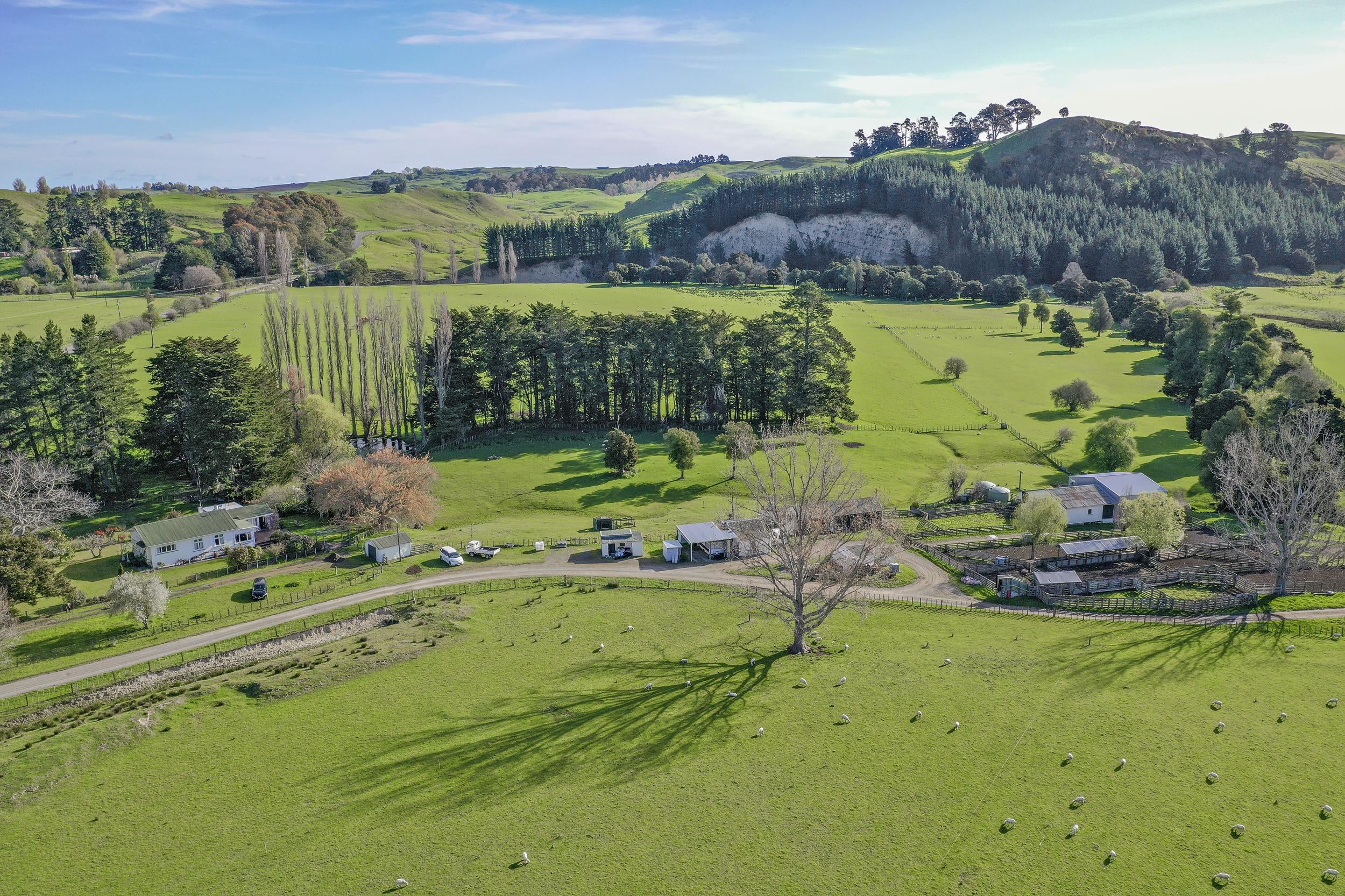 ★サセックス　カプラス　トレイル　AFTＭA #4-5 7，10 フライロッド | [ナイキ] 27.0cm ペガサス トレイル 4 ゴアテックス GTX