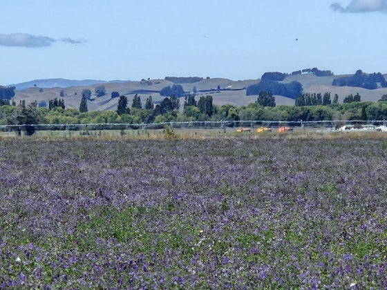 2854077_3.jpg