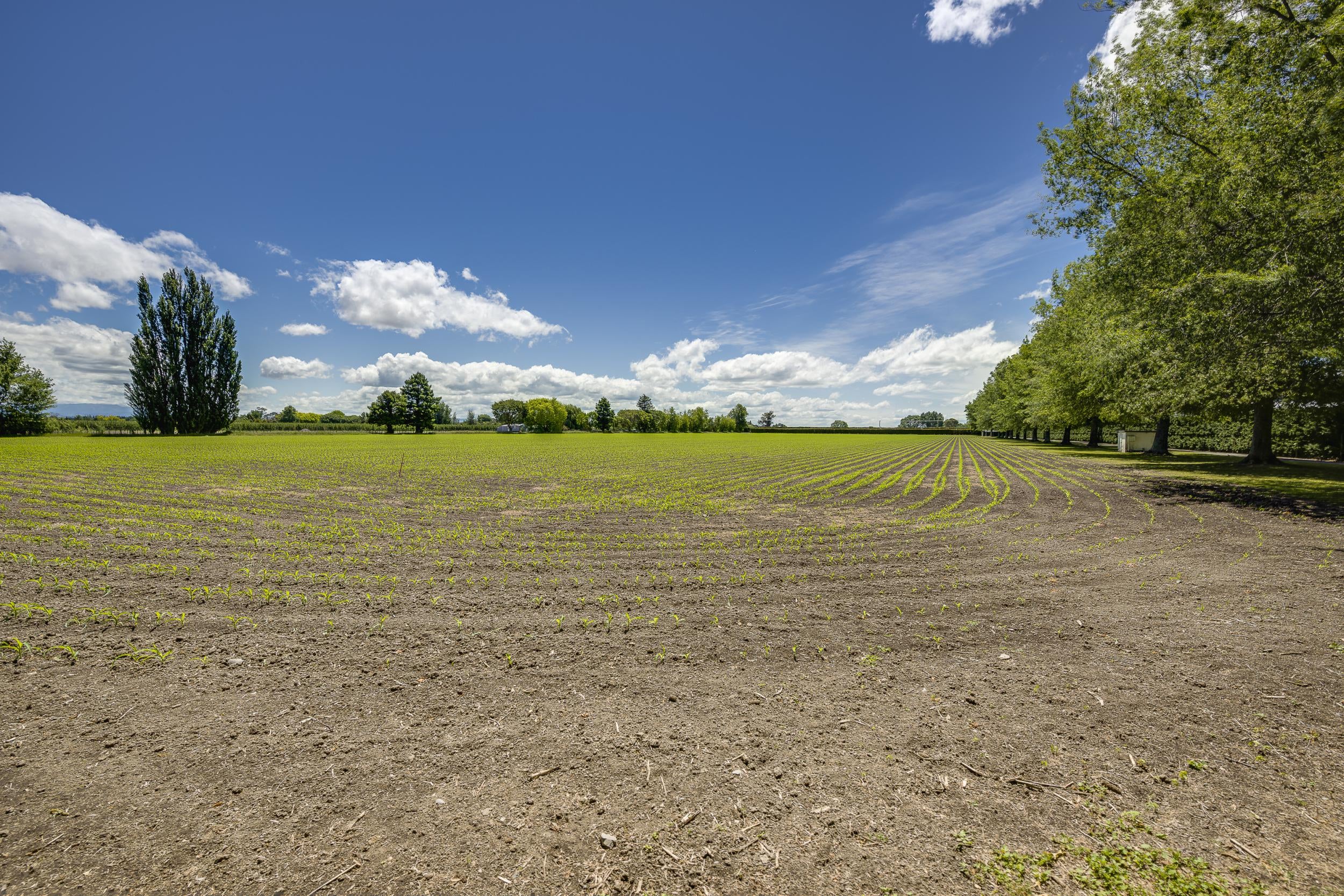 Established Lifestyle, productive land, motivated