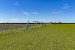 2854716_1.jpg