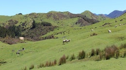 2870002_1.jpg