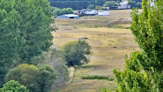 2870013_2.jpg