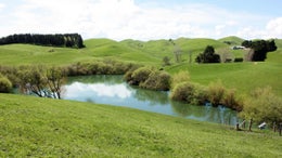 2870074_1.jpg