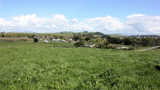 2870074_2.jpg
