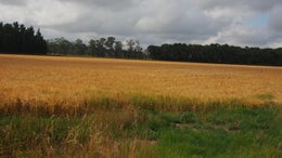 2870586_1.jpg