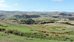 2870641_1.jpg
