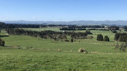 2870657_1.jpg