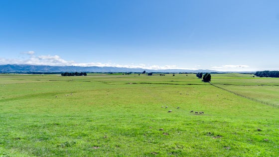 2870667_3.jpg