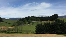 2870680_1.jpg