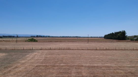 2870685_2.jpg