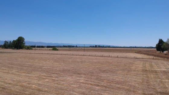 2870685_3.jpg