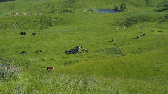2870842_2.jpg