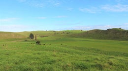 2870882_1.jpg