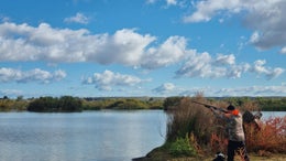 2870911_1.jpg