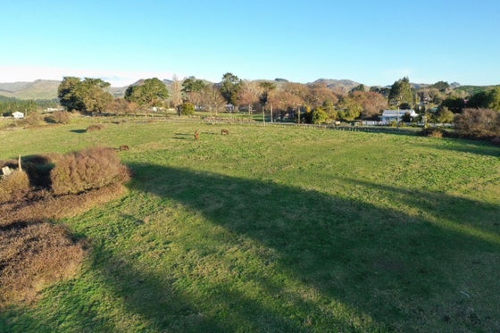 2871039_2.jpg