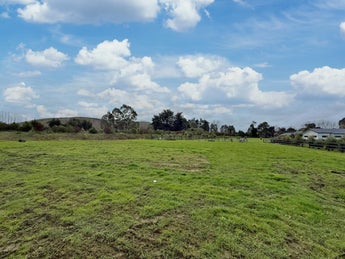2871184_1.jpg