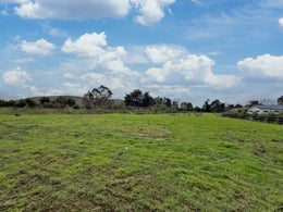 2871184_1.jpg