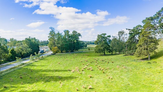 2871261_2.jpg